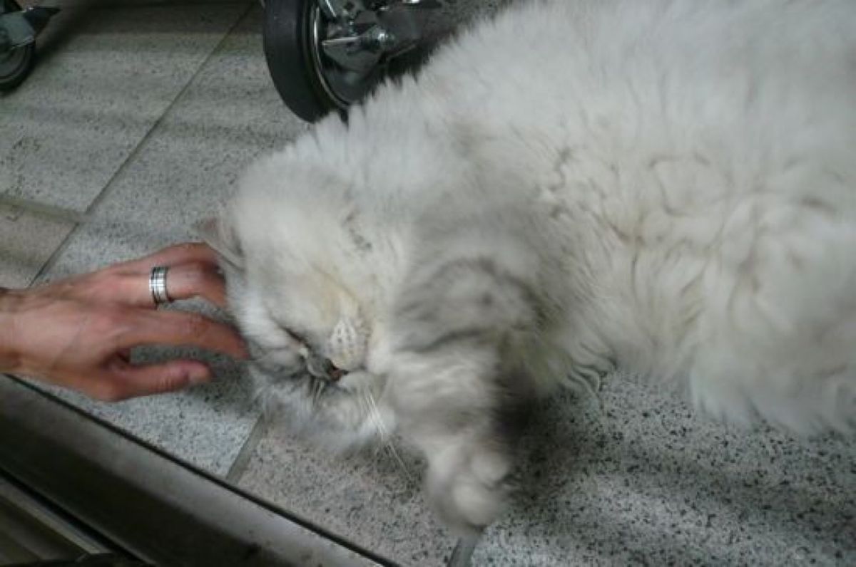 ★2日目

ホテルで朝ご飯。

朝食の後は即、行動開始です。

一人初台湾...