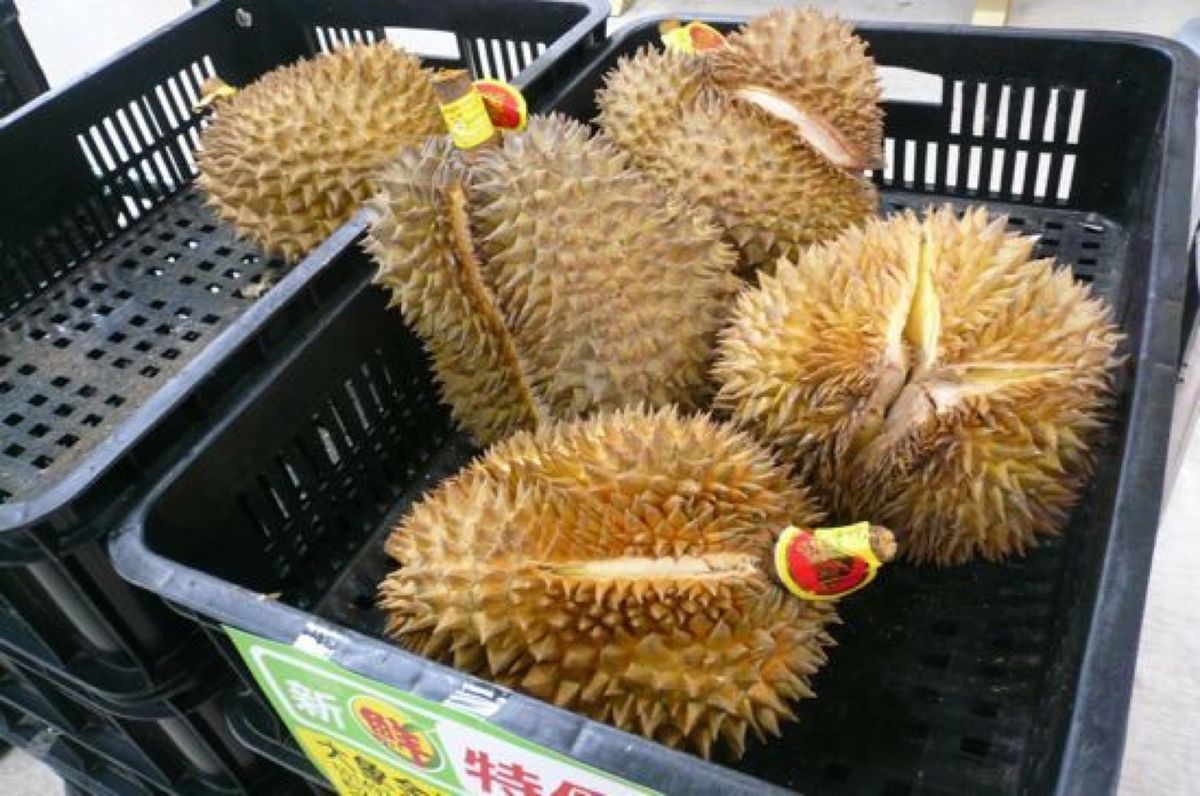 ★1日目

ホテルの横が２４Hスーパーがあってラッキー🤞

会社に配るパイ...