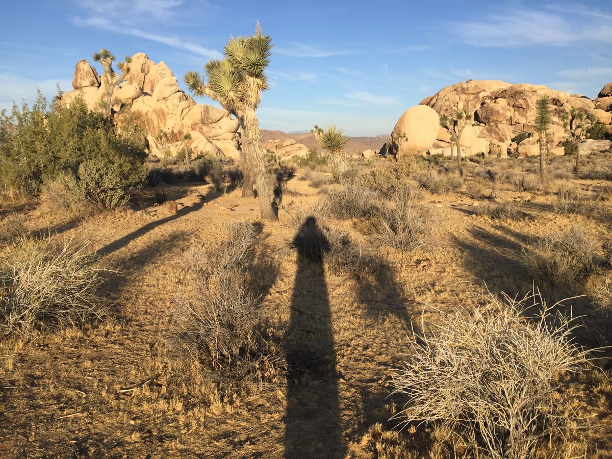 トレッキング後のお昼過ぎ、運転好きでもないのにアメリカのサイズ感を間違いル...