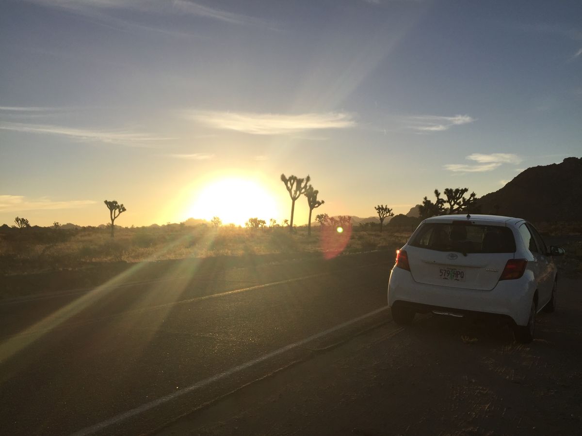 トレッキング後のお昼過ぎ、運転好きでもないのにアメリカのサイズ感を間違いル...