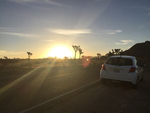 トレッキング後のお昼過ぎ、運転好きでもないのにアメリカのサイズ感を間違いル...