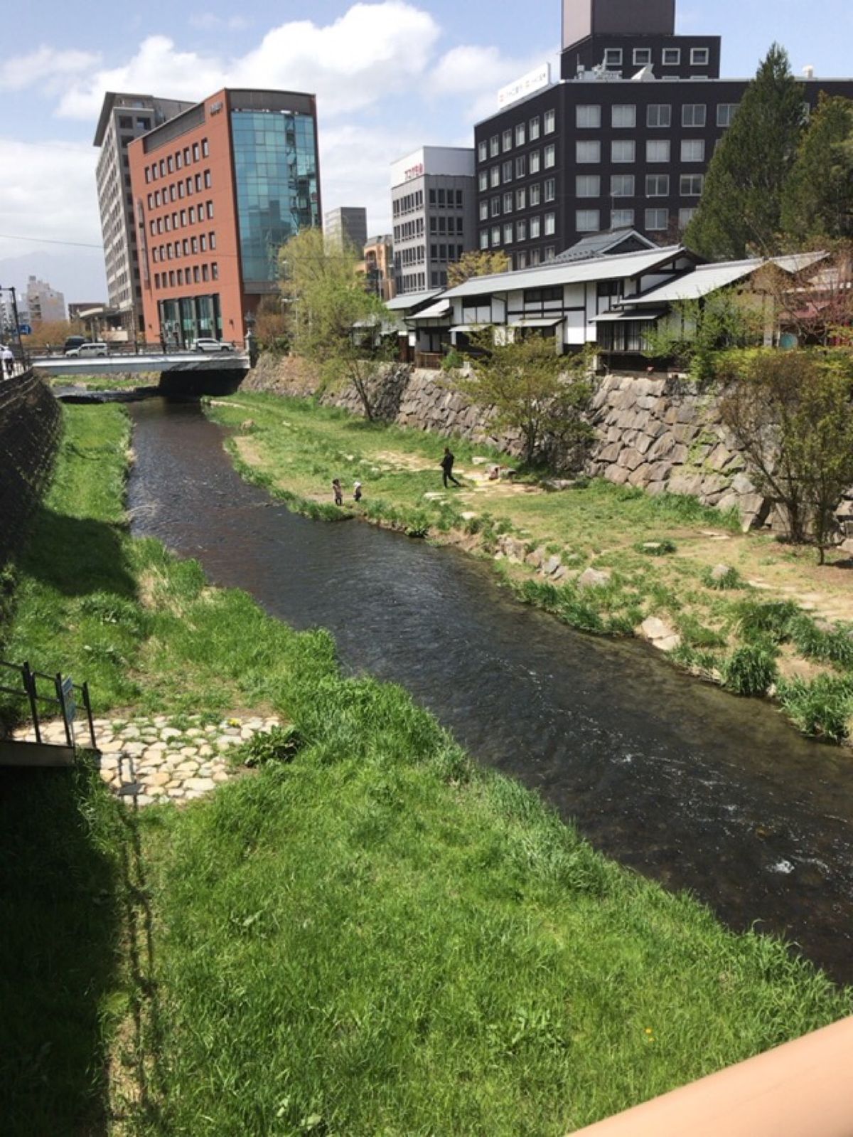 松本城を散策。
もうすでに葉桜。
まさに新緑の季節。