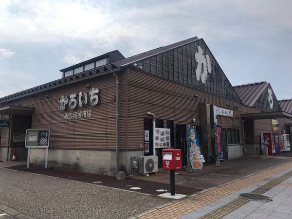 日本・島根県「鳥取砂丘・出雲大社　2019.10」の写真