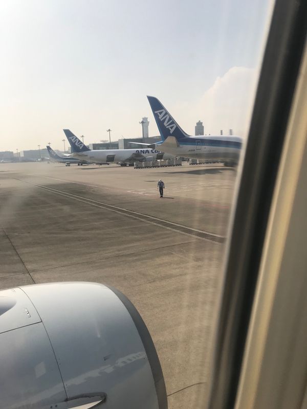 日本・島根県「鳥取砂丘・出雲大社　2019.10」の写真