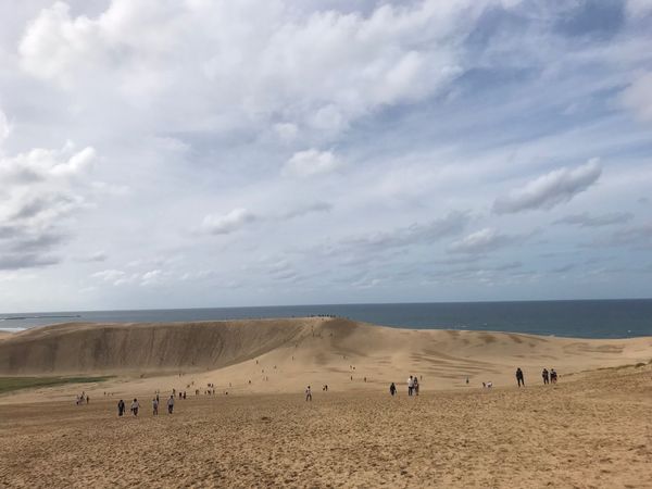 日本・島根県「鳥取砂丘・出雲大社　2019.10」の写真
