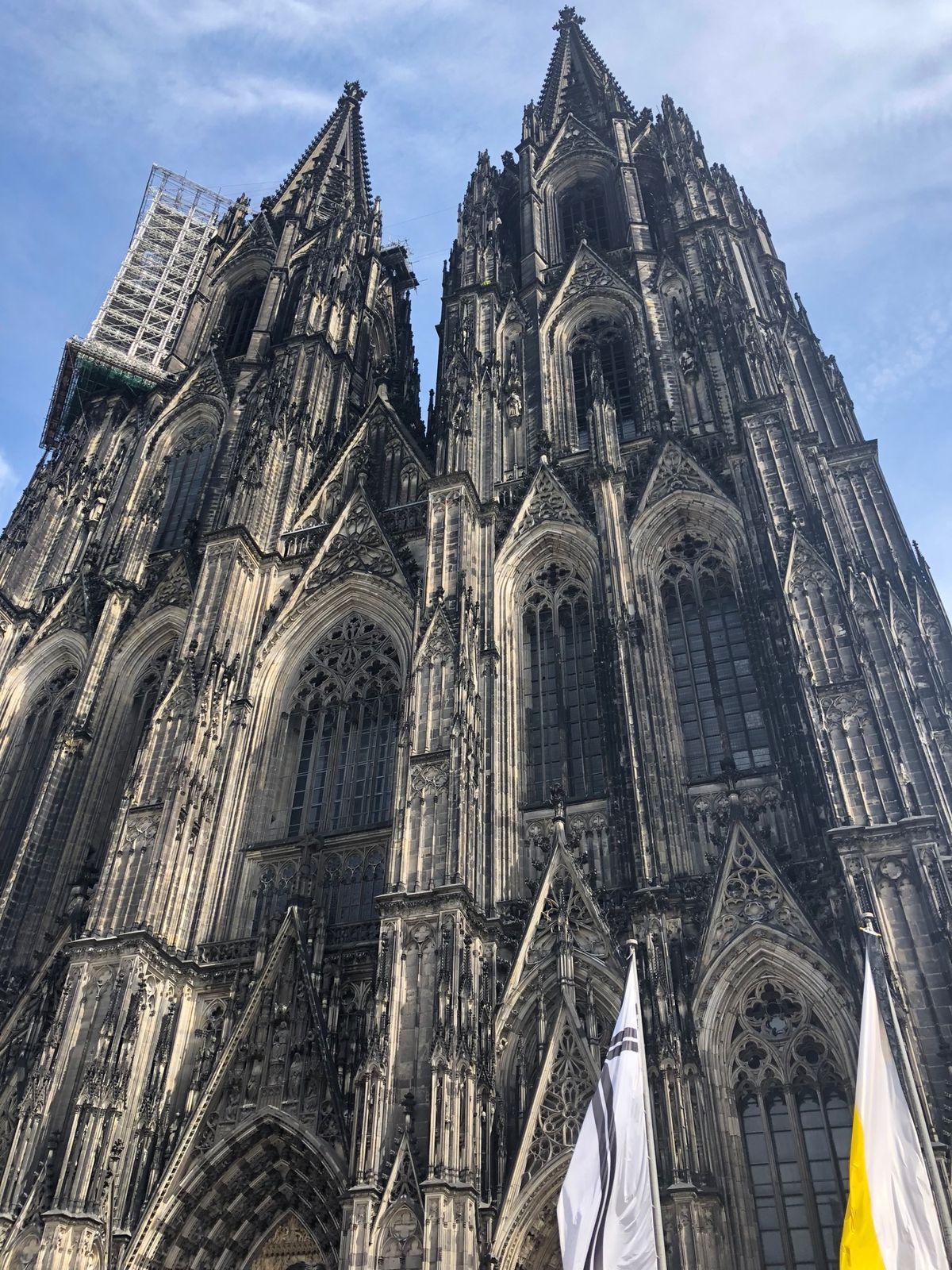 ドイツ🇩🇪④
ケルン大聖堂〜ハイデルベルク