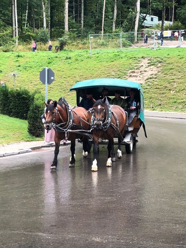 ドイツ・フランクフルト「母娘旅inドイツ&オーストリア」の写真：ドイツ🇩🇪⑥
ノインシュヴァイン城