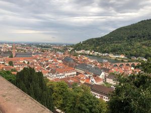 ドイツ🇩🇪④
ケルン大聖堂〜ハイデルベルク