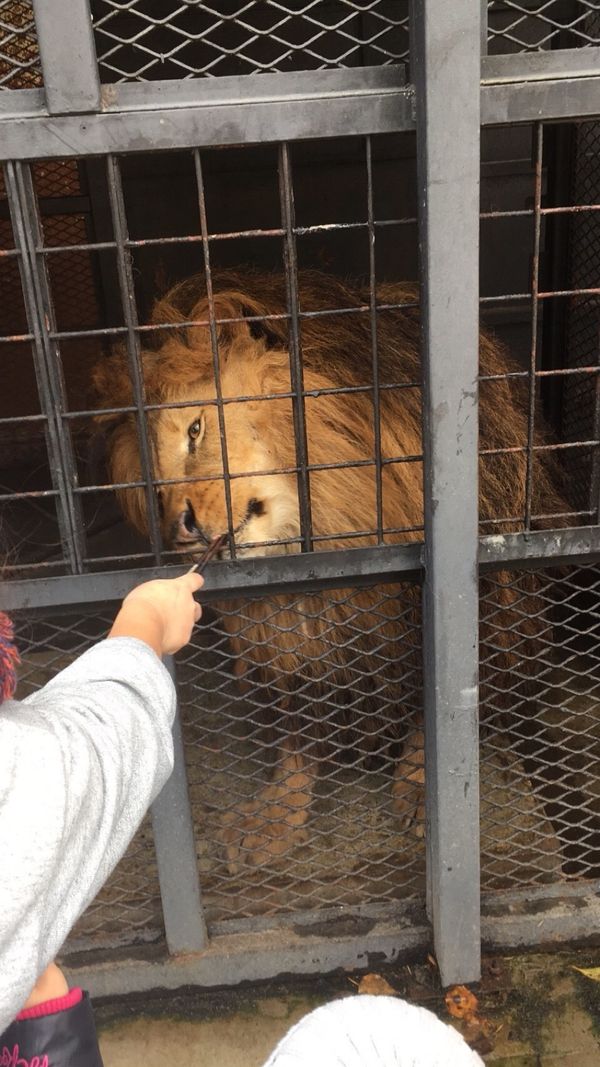 日本・札幌「2017.10」の写真