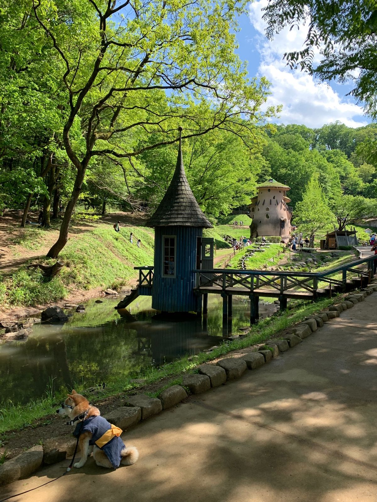 トーベヤンソンあけぼの子どもの森公園。