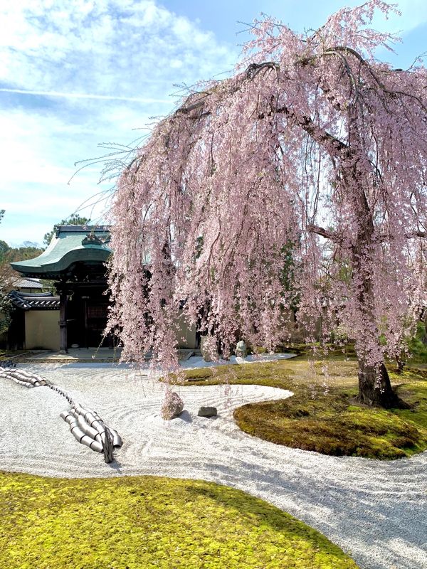 日本・京都府「京都」の写真