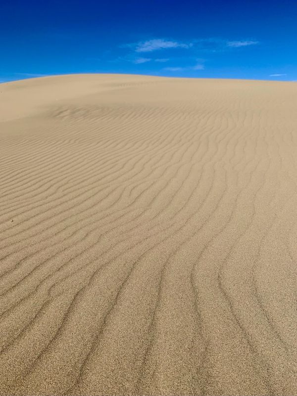 日本・鳥取県「鳥取砂丘」の写真