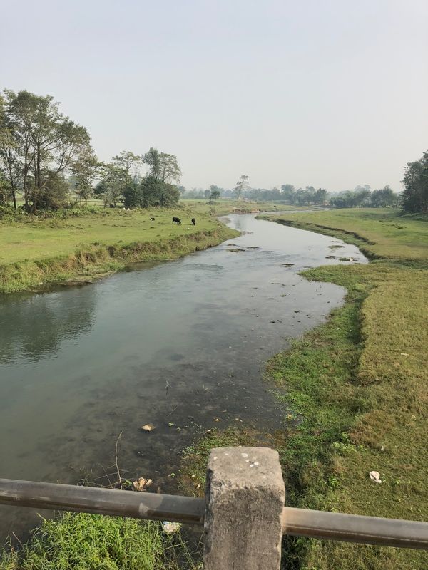 ネパール「ネパール」の写真：チトワン