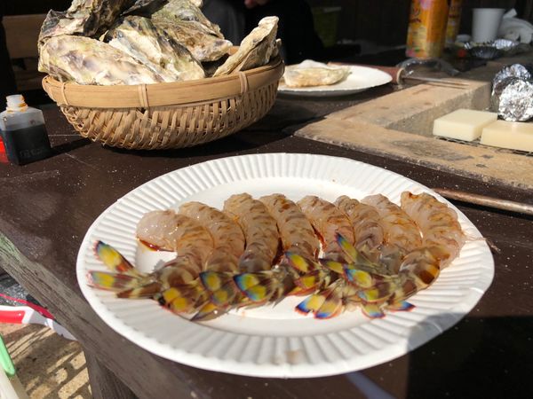 日本・福岡「佐賀　蟹御殿　2018.11」の写真