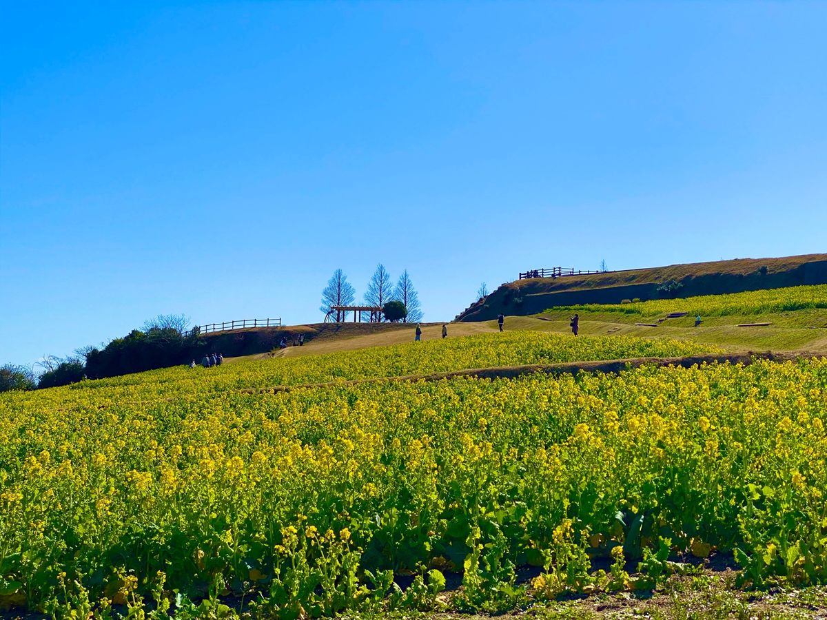 ①あわじ花さじき
② GARB COSTA ORANGE 
③道の駅うずし...