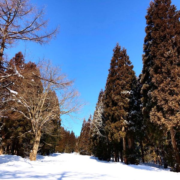 日本・新潟県「赤倉温泉」の写真