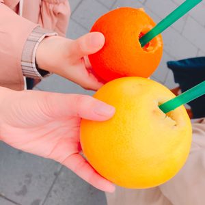①志摩地中海村
②英虞湾夕日クルーズ
③鳥羽水族館
④おかげ横丁食べ歩き