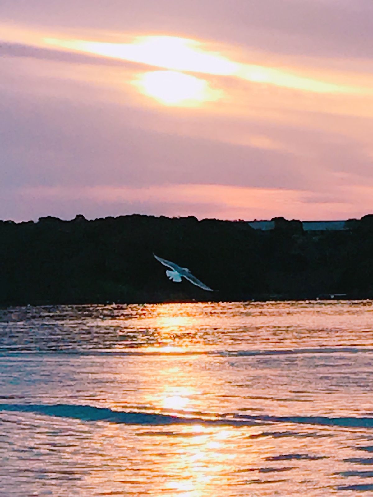 ①志摩地中海村
②英虞湾夕日クルーズ
③鳥羽水族館
④おかげ横丁食べ歩き