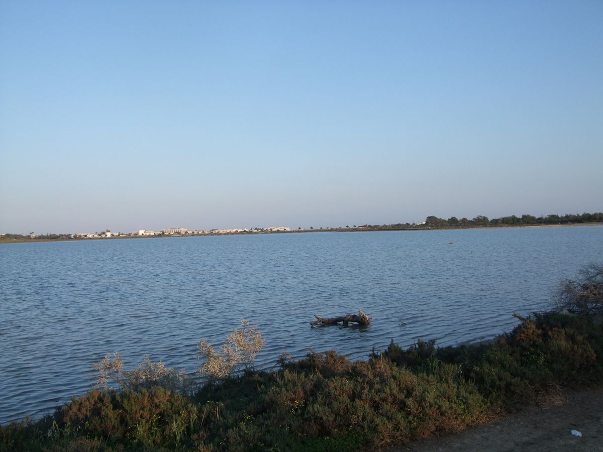 南側のキプロス共和国にもイスラム教徒が住んでいてモスクも所々にあります。1...