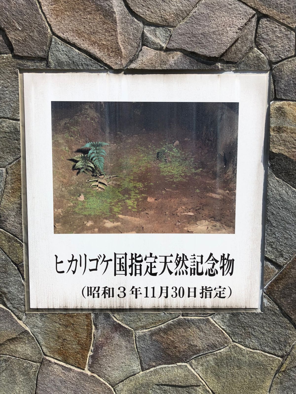 吉見百穴関連の看板