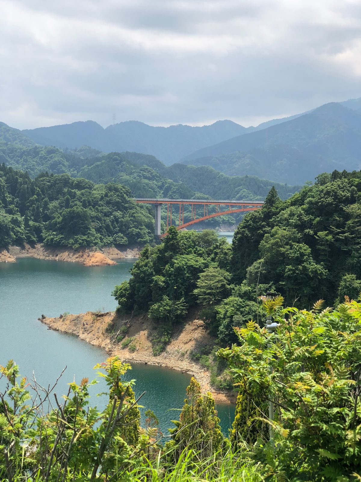 天気が良くお散歩日和だった。
そこそこ人もいたので安心してテクテクできた。...