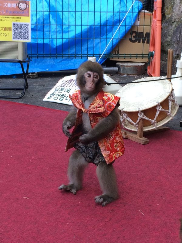 日本・有馬温泉「淡路島・有馬温泉」の写真