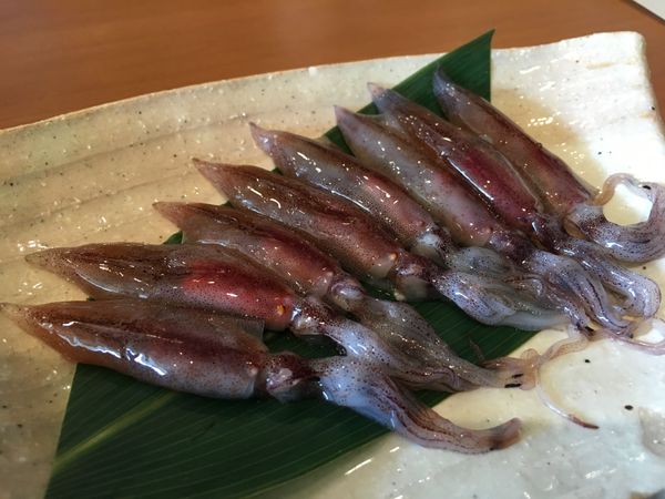 日本・立山「富山旅行」の写真