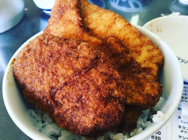 日本・福井県「福井旅行」の写真