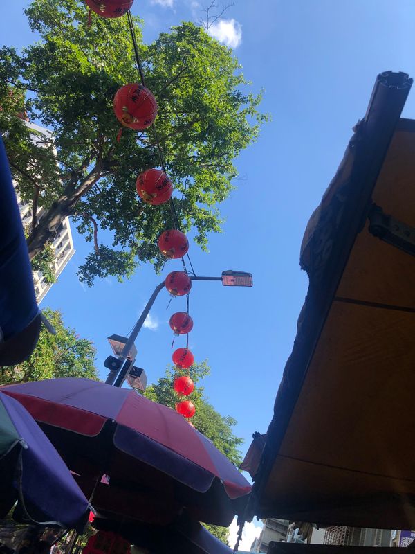 台湾・台北市「台湾旅行」の写真