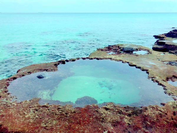 日本・奄美大島「初奄美大島✈️」の写真