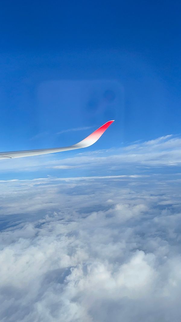 日本・沖縄県「沖縄県」の写真