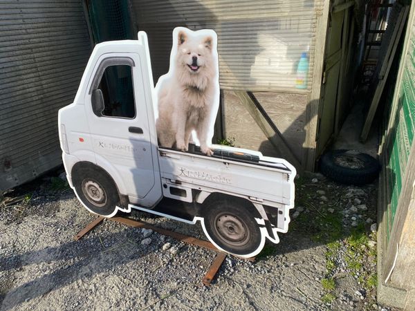 日本・秋田市「東北3県旅」の写真