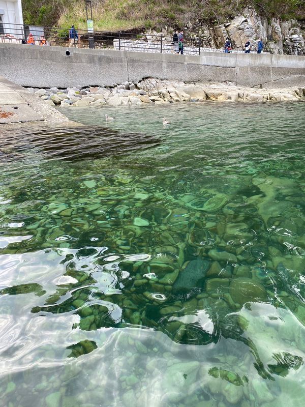 日本・岩手県「東北3県旅(宮古)」の写真