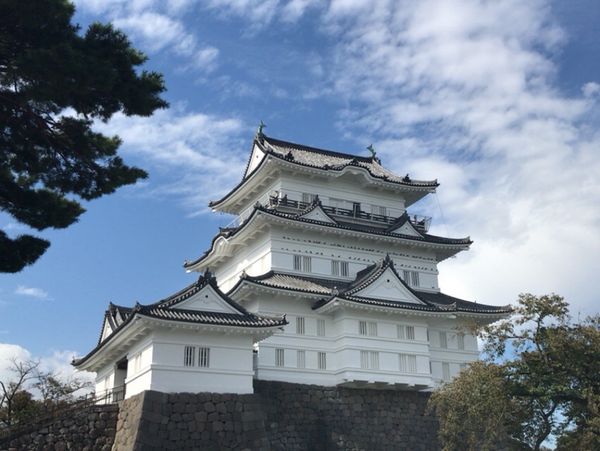 日本・箱根「温泉入りに秋の箱根」の写真：小田原城で締め括り。