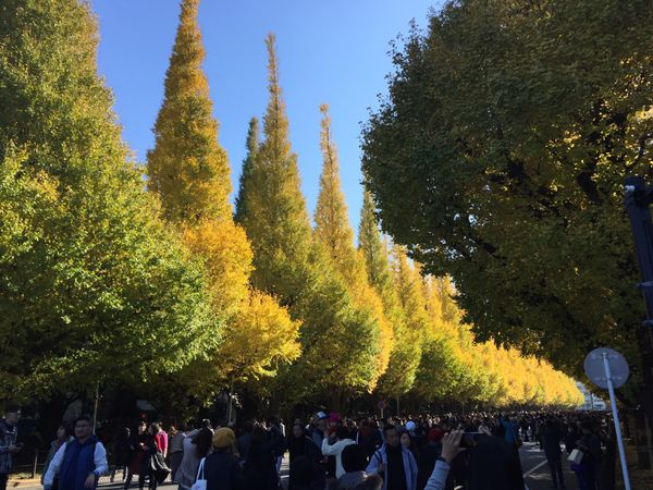 日本・東京都「東京旅行」の写真