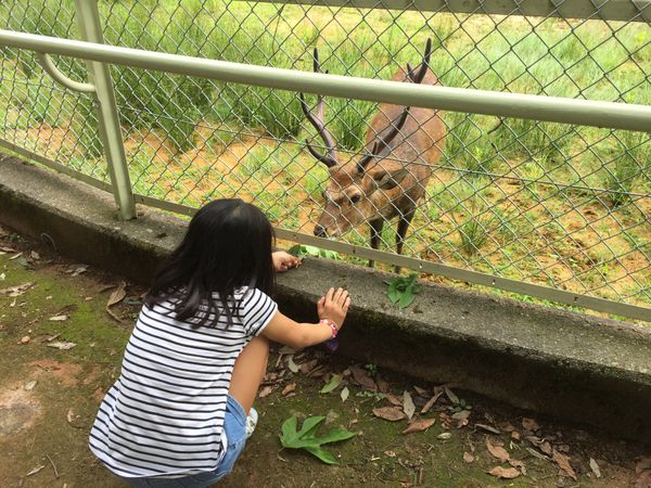 日本・石川県「北陸旅行」の写真