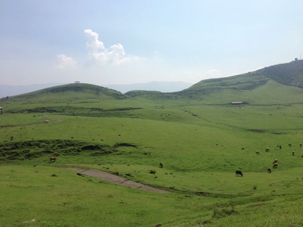 日本・大分県「九州旅行」の写真