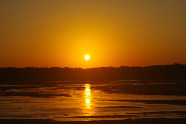 インドネシア・ウブド「Bali」の写真