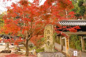 
興聖寺

