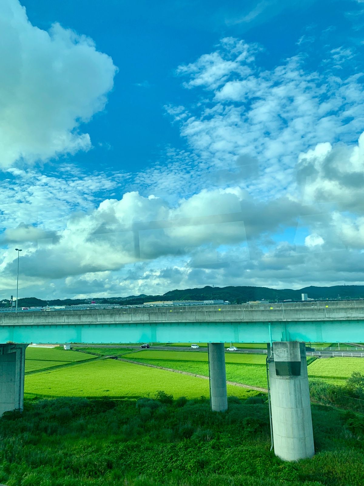 ちょうど七夕まつりのときでした♡
当たり前のことだけど、仙台は東京より涼し...