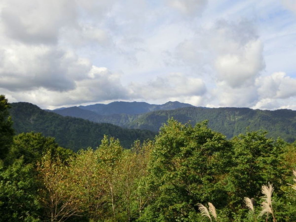 1枚目は津軽峠にあるぶな巨木、ふれあいの径、2枚目は津軽峠、3枚目はぶな巨...