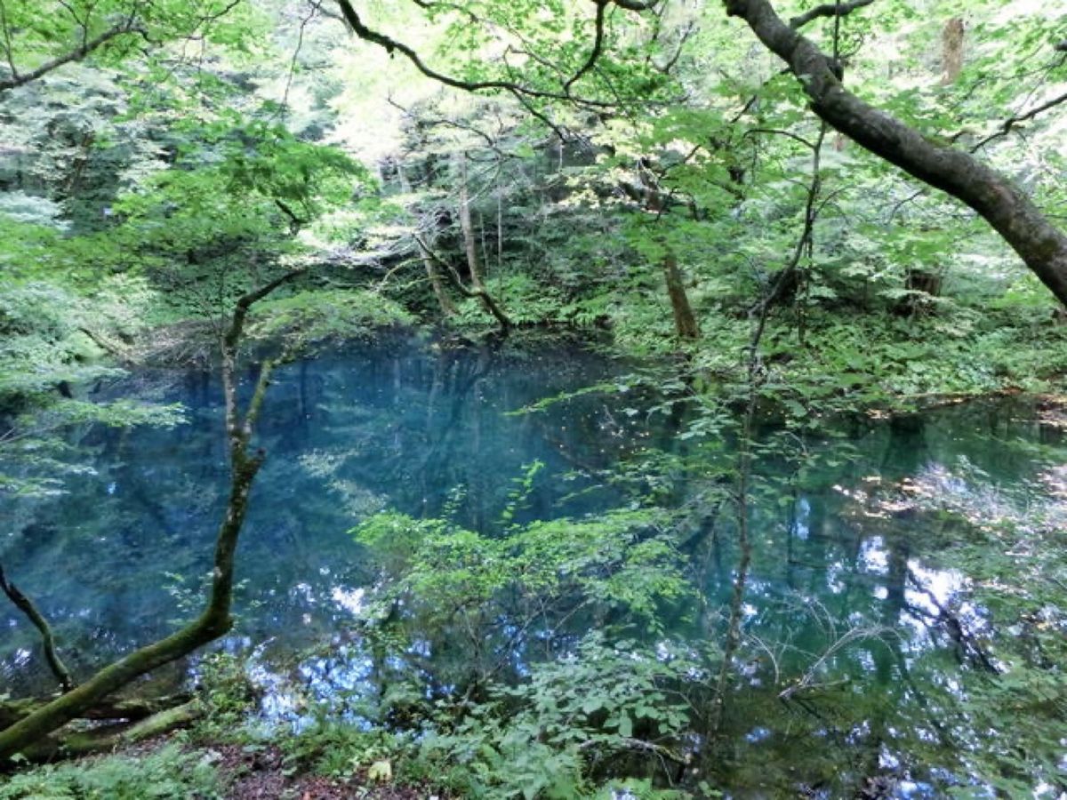 1枚目は十二湖にある青池、2枚目は十二湖にある鶏頭場の池、3枚目は十二湖に...