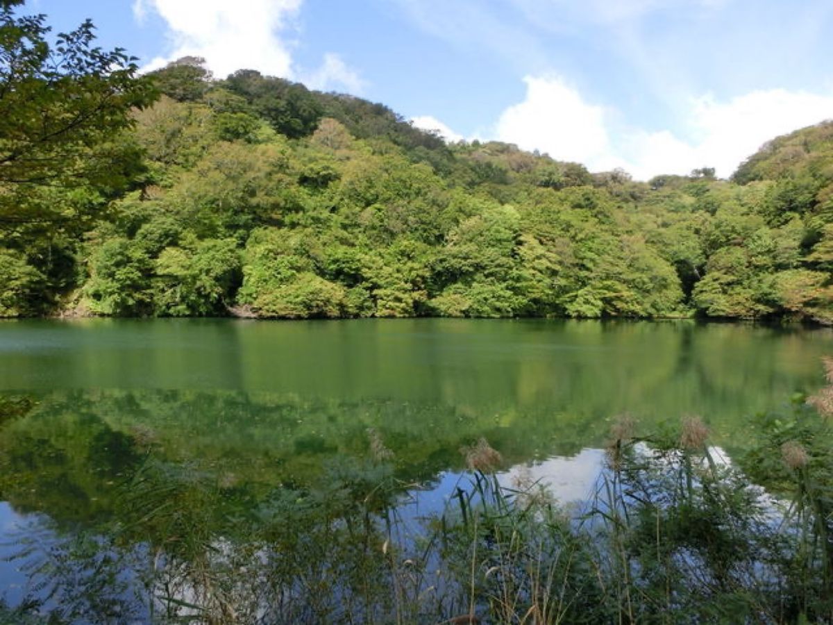 1枚目は十二湖にある青池、2枚目は十二湖にある鶏頭場の池、3枚目は十二湖に...