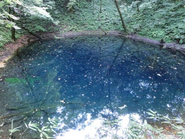 日本・青森県「世界遺産「白神山地」」の写真：1枚目は十二湖にある青池、2枚目は十二湖...