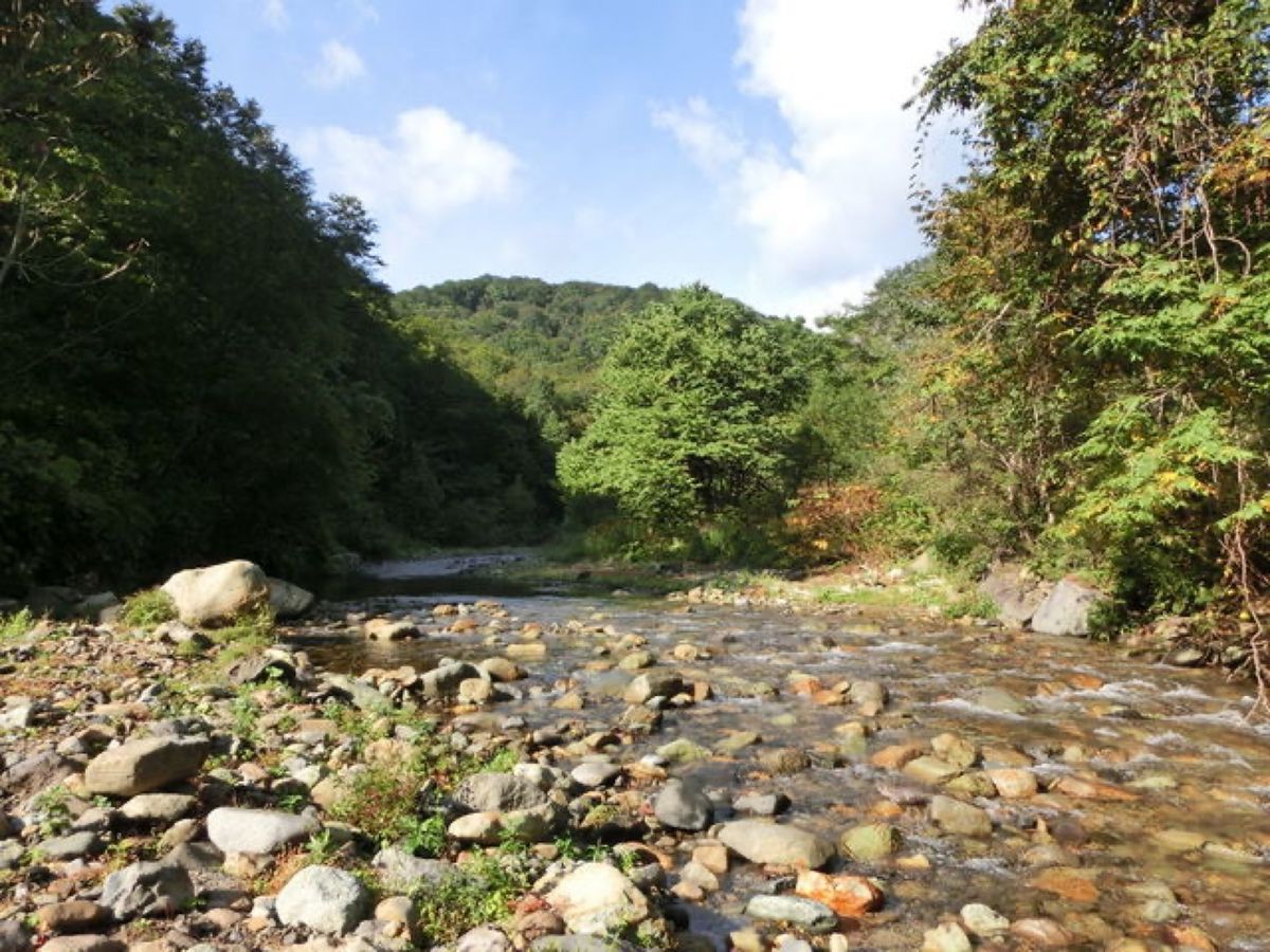 全ては暗門渓谷にある世界遺産の径、ブナ林散策道コースです📷