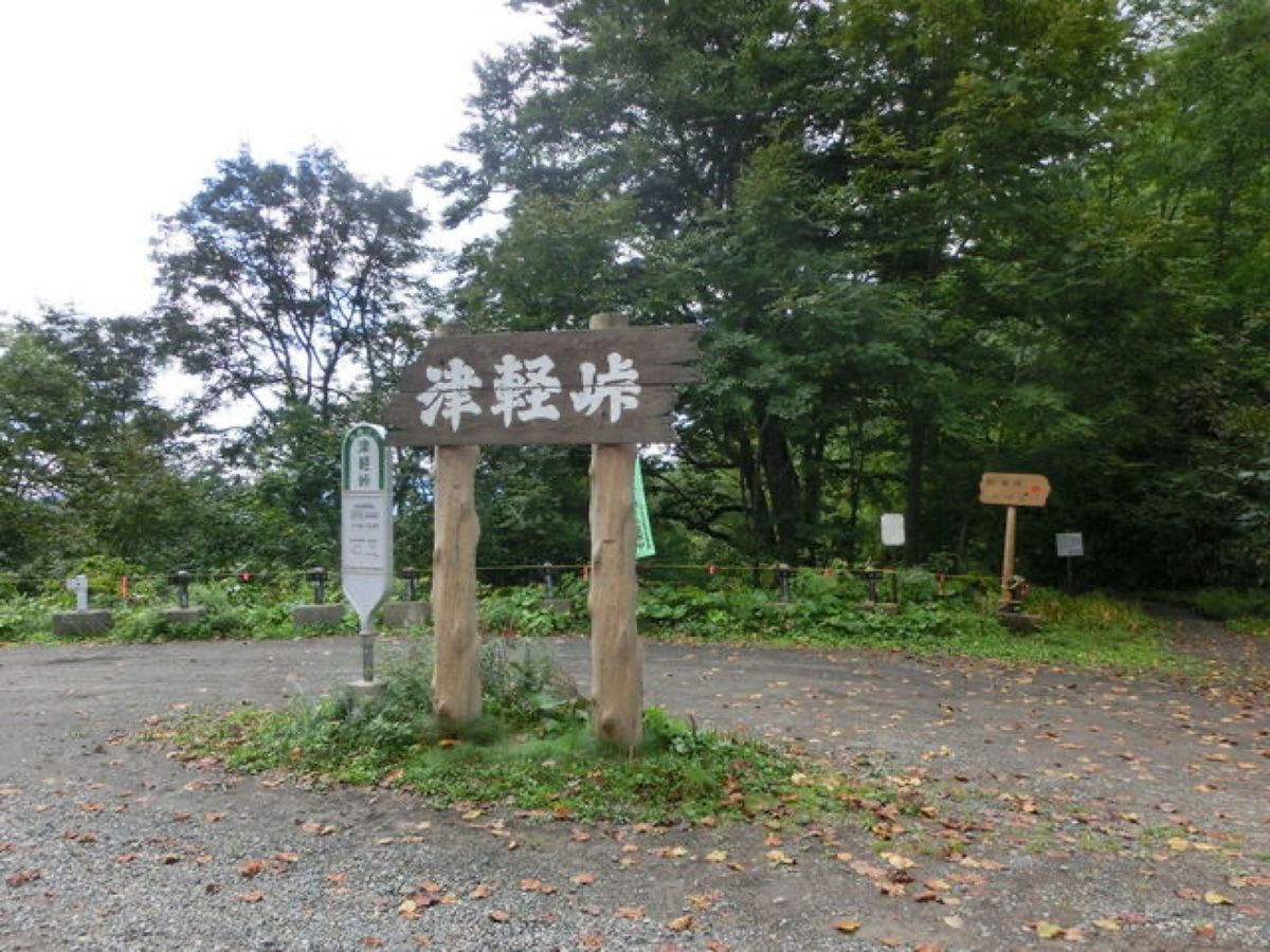 1枚目は津軽峠にあるぶな巨木、ふれあいの径、2枚目は津軽峠、3枚目はぶな巨...