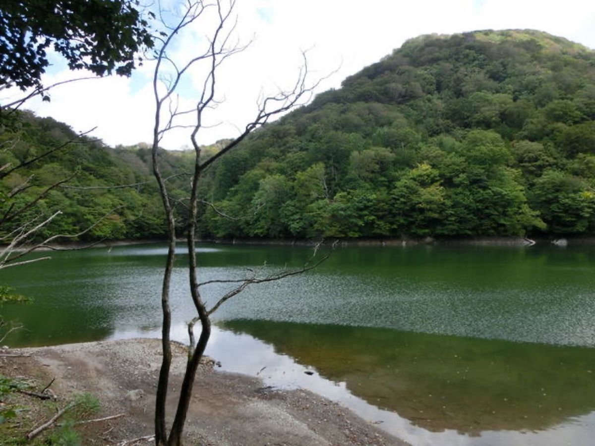 1枚目は十二湖にある青池、2枚目は十二湖にある鶏頭場の池、3枚目は十二湖に...