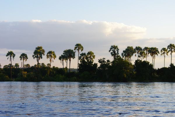 ジンバブエ・ビクトリアフォールズ「Africa」の写真