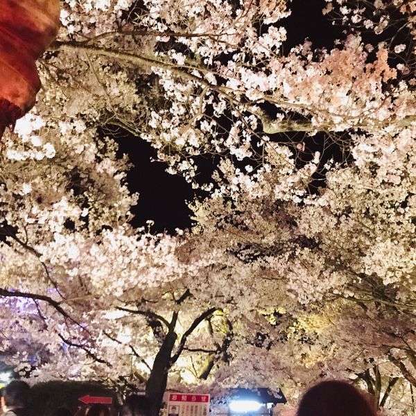 「長野　リフレッシュ旅行」の写真