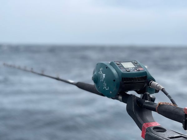 日本・神奈川県「キンメダイ釣り」の写真